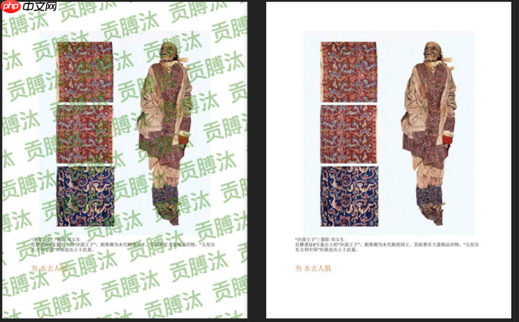 百度网盘AI大赛——水印智能消除赛：第8名方案