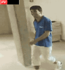 趣味表情包制作：GIF倒放 - 创想鸟