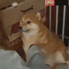 趣味表情包制作：GIF倒放 - 创想鸟