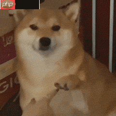 趣味表情包制作：GIF倒放 - 创想鸟