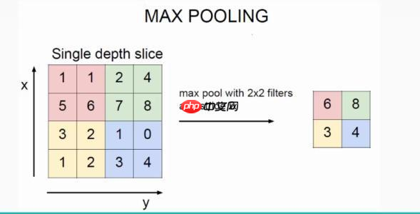 【PaddleHub模型贡献】一行代码实现海洋生物识别 - 创想鸟