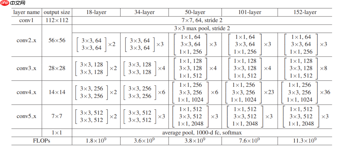 基于计算机视觉的全细胞计数自动化分析方法 - 创想鸟