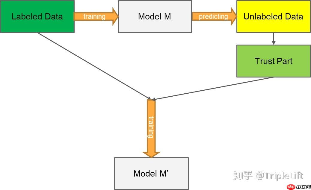导盲赛事第二弹: 数据集与训练策略 - 创想鸟