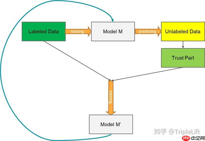 导盲赛事第二弹: 数据集与训练策略 - 创想鸟