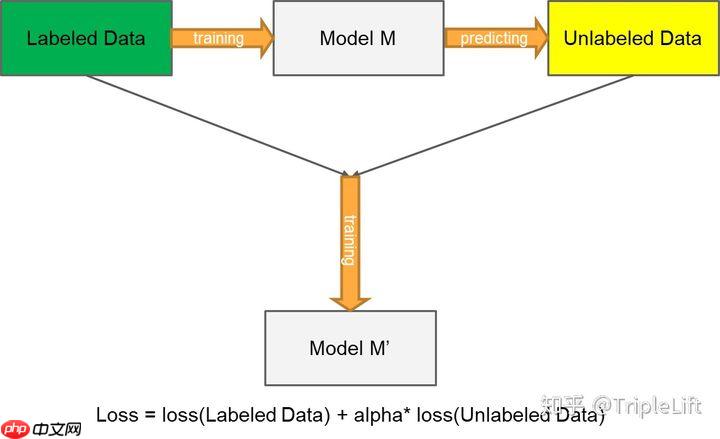 导盲赛事第二弹: 数据集与训练策略 - 创想鸟