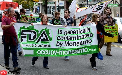 基于PaddleOCR的FCENet复现 - 创想鸟