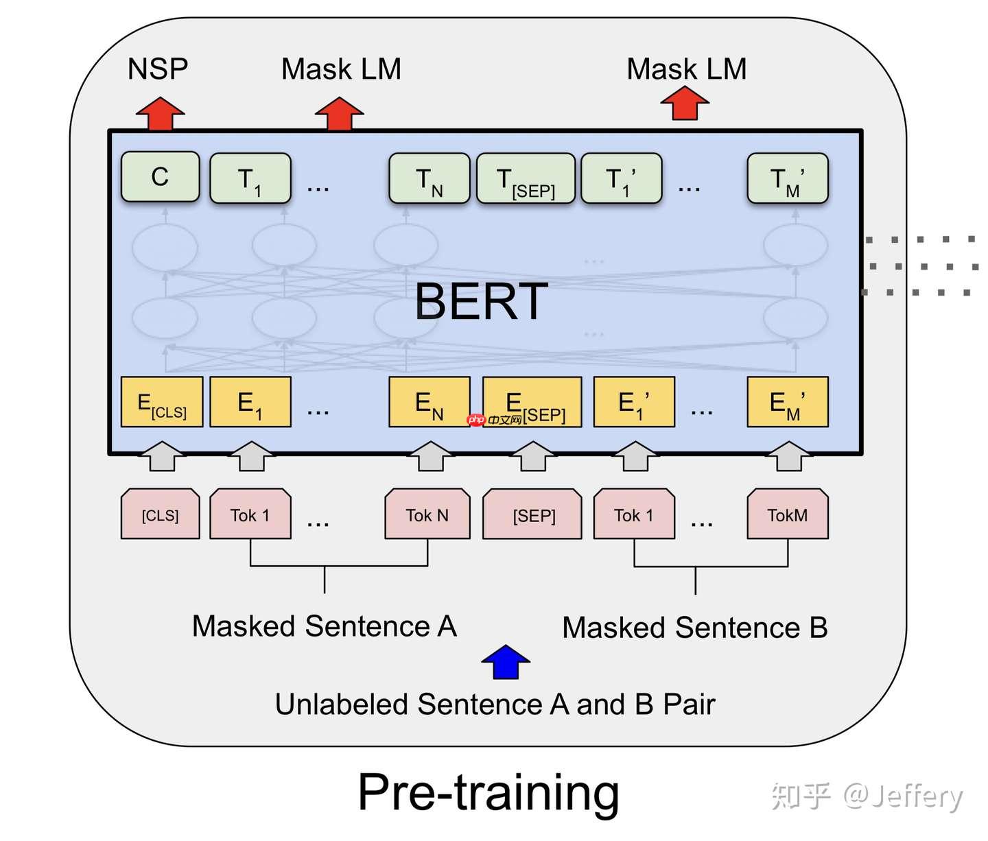 PaddleNLP2.0：BERT模型在文本分类任务上的应用 - 创想鸟
