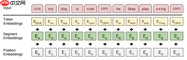 PaddleNLP2.0：BERT模型在文本分类任务上的应用 - 创想鸟
