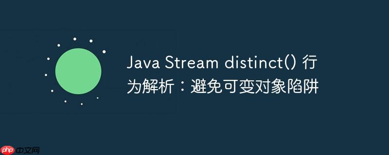 Java Stream distinct() 行为解析：避免可变对象陷阱