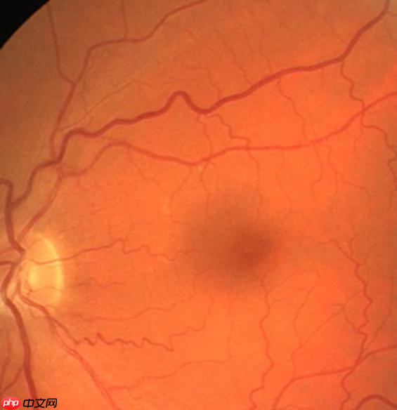 图像分割预处理简单实用技巧 - 创想鸟