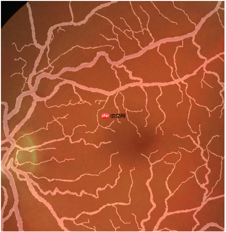 图像分割预处理简单实用技巧 - 创想鸟