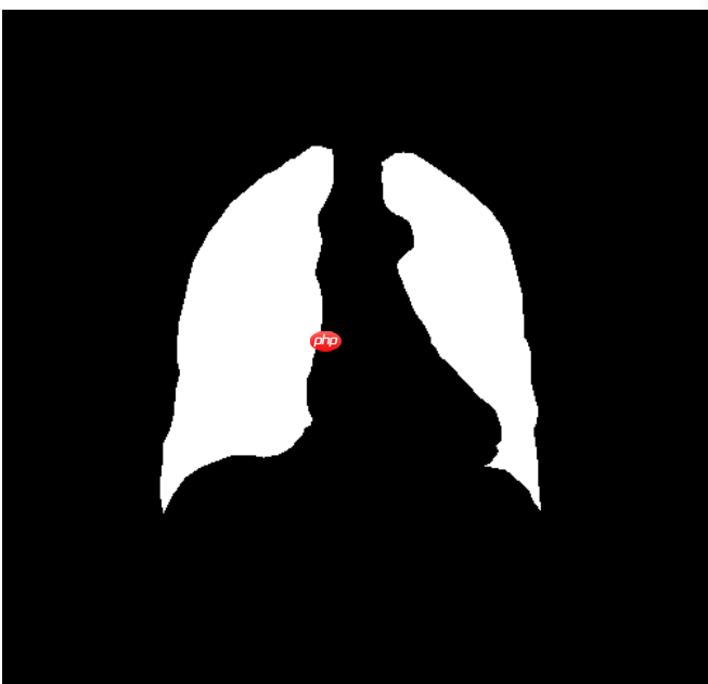 图像分割预处理简单实用技巧 - 创想鸟