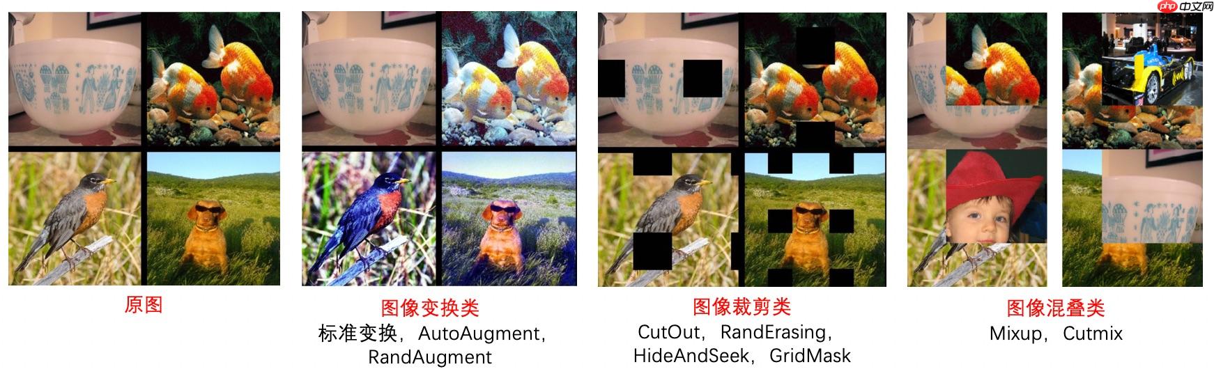 柠檬分类竞赛：飞桨图像分类套件PaddleClas竞赛实战 - 创想鸟
