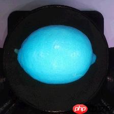 柠檬分类竞赛：飞桨图像分类套件PaddleClas竞赛实战 - 创想鸟