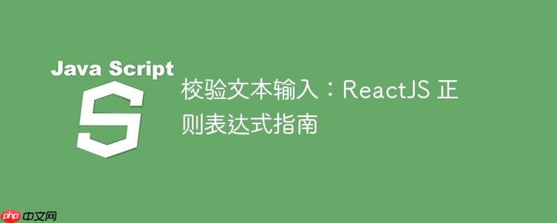 校验文本输入：reactjs 正则表达式指南