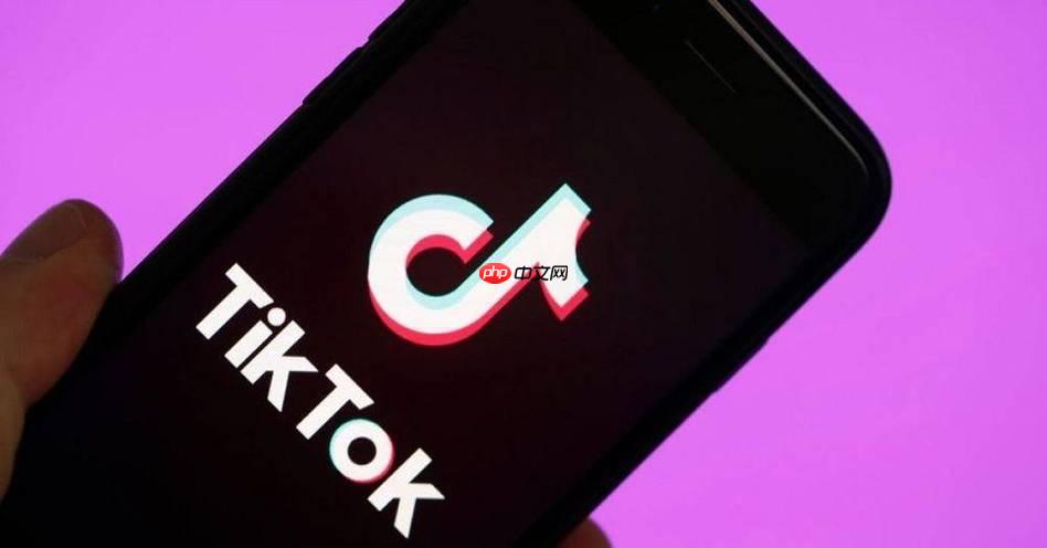 TikTok广告开户0门槛详解！资料准备+审核常见问题，快速下号秘籍