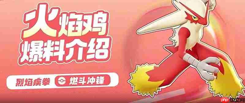 宝可梦大集结火焰鸡怎么玩 火焰鸡技能连招详细解析