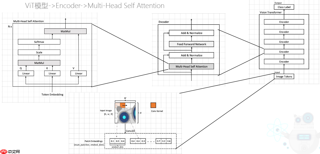 复现篇：Vision Transform复现及讲解 - 创想鸟