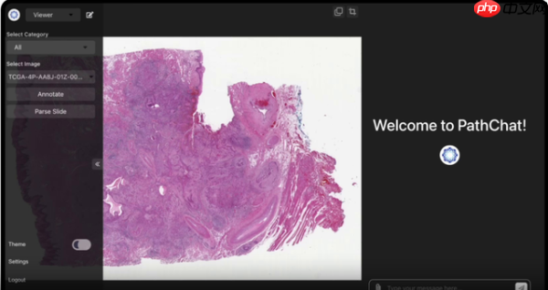 Manus“跑路”风波背后，AI Agent的商业化困局