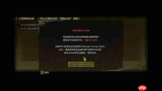 因给《怪物猎人：荒野》封号玩家提供联机 高玩被卡普空警告
