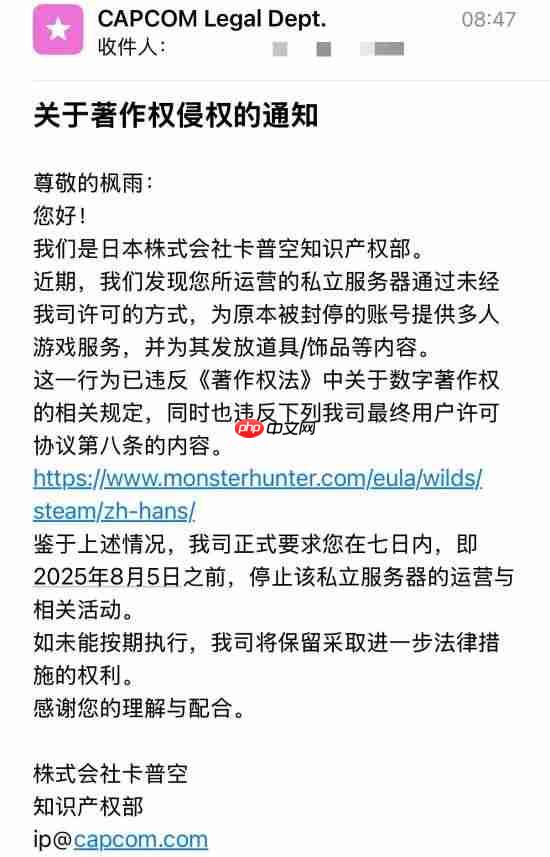 因给《怪物猎人：荒野》封号玩家提供联机 高玩被卡普空警告