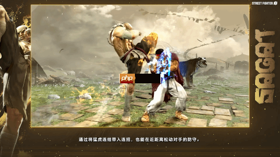 《街霸6》沙加特官方角色指南！泰拳强者恐怖如斯！