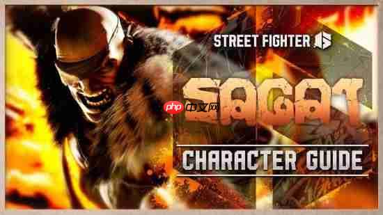 《街霸6》沙加特官方角色指南！泰拳强者恐怖如斯！