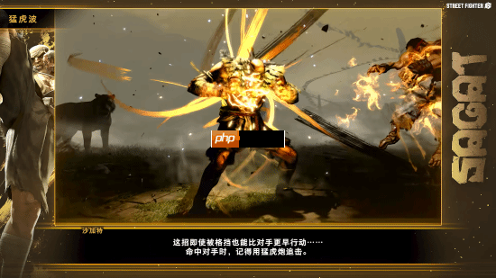 《街霸6》沙加特官方角色指南！泰拳强者恐怖如斯！