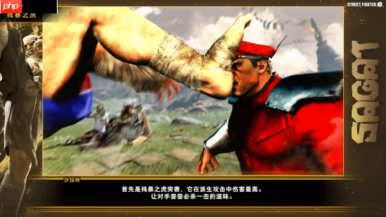 《街霸6》沙加特官方角色指南！泰拳强者恐怖如斯！