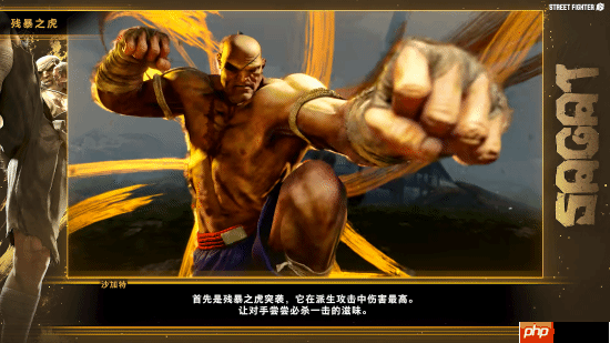《街霸6》沙加特官方角色指南！泰拳强者恐怖如斯！