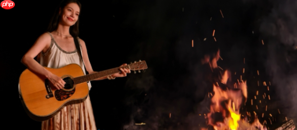 演唱会什么时候成了手机赛点？