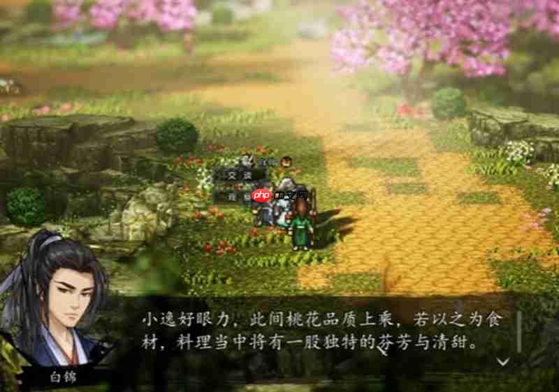 逸剑风云决白锦支线怎么触发 白锦任务流程详细攻略