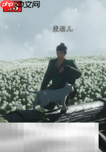 燕云十六声神秘的信万事知怎么做 清河隐月山万事知教程