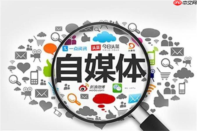 蝴蝶号如何开通付费专栏 蝴蝶号内容变现的高级玩法
