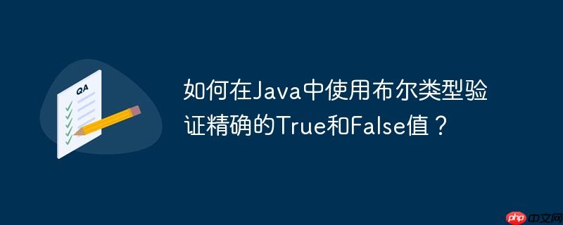 如何在Java中使用布尔类型验证精确的True和False值？