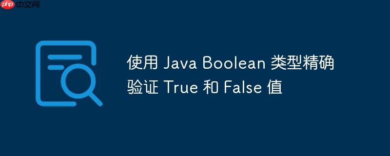 使用 Java Boolean 类型精确验证 True 和 False 值