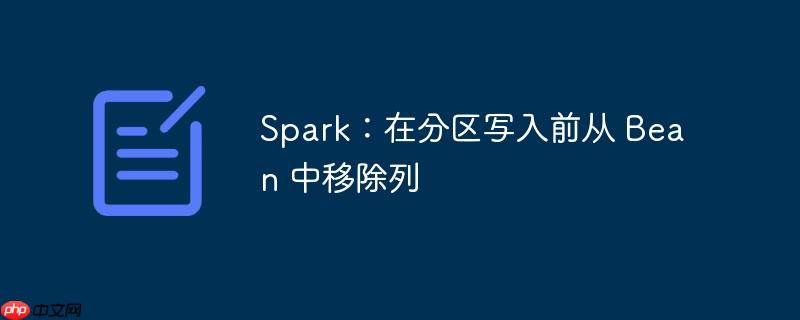 Spark：在分区写入前从 Bean 中移除列
