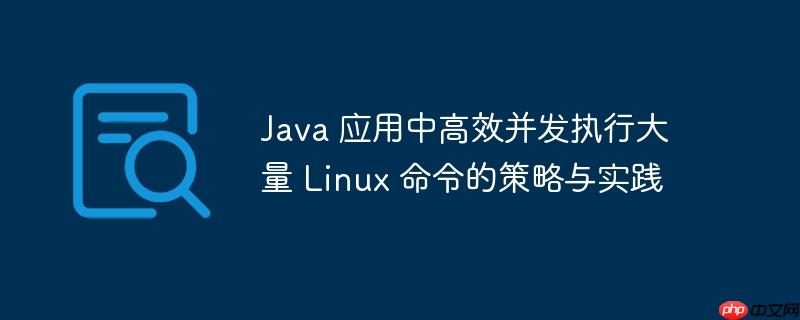 Java 应用中高效并发执行大量 Linux 命令的策略与实践