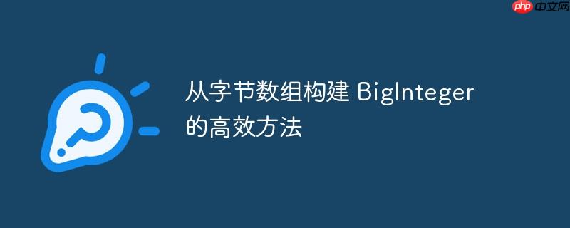 从字节数组构建 BigInteger 的高效方法