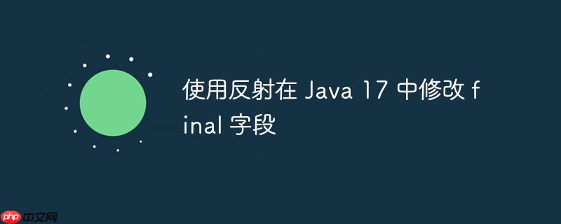 使用反射在 java 17 中修改 final 字段