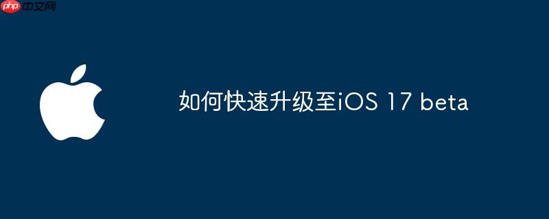 如何快速升级至iOS 17 beta