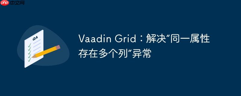 Vaadin Grid：解决“同一属性存在多个列”异常