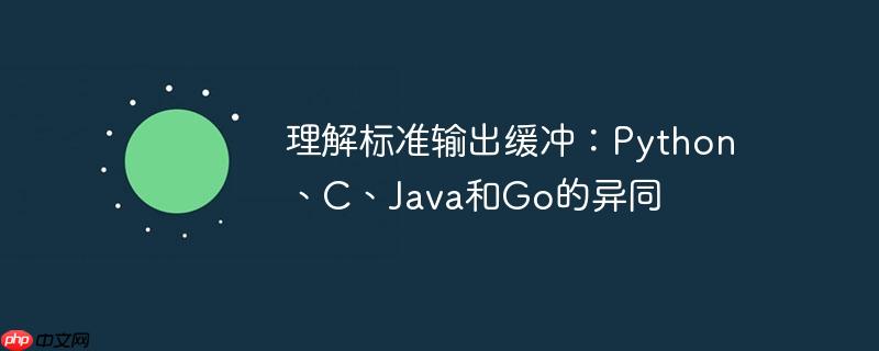 理解标准输出缓冲:python、c、java和go的异同