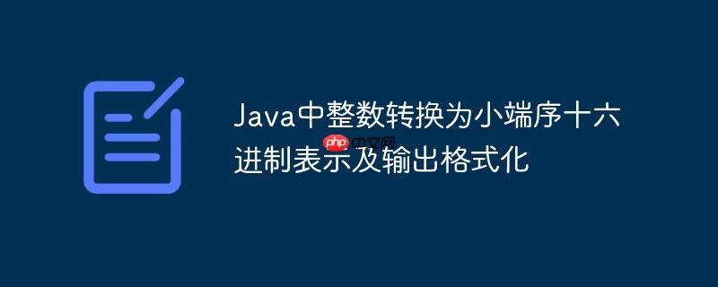 Java中整数转换为小端序十六进制表示及输出格式化