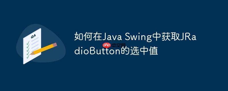 如何在Java Swing中获取JRadioButton的选中值