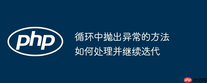 循环中抛出异常的方法如何处理并继续迭代