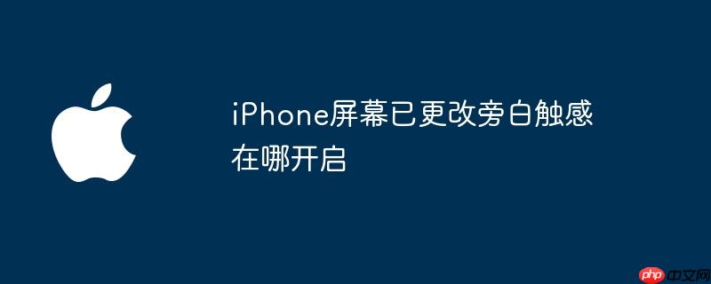 iPhone屏幕已更改旁白触感在哪开启