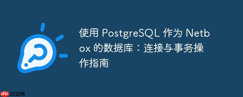 使用 PostgreSQL 作为 Netbox 的数据库：连接与事务操作指南