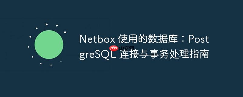 netbox 使用的数据库：postgresql 连接与事务处理指南