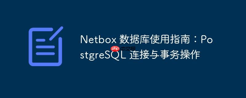 Netbox 数据库使用指南：PostgreSQL 连接与事务操作